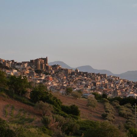 Villa Della Mimosa Alia Bagian luar foto
