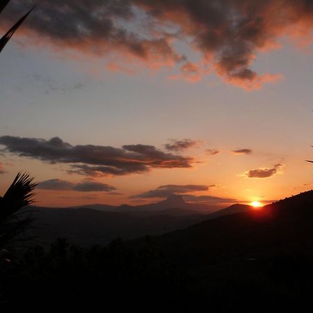 Villa Della Mimosa Alia Bagian luar foto