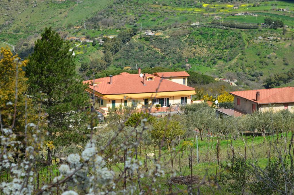 Villa Della Mimosa Alia Bagian luar foto
