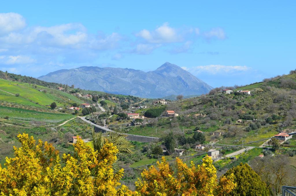 Villa Della Mimosa Alia Bagian luar foto