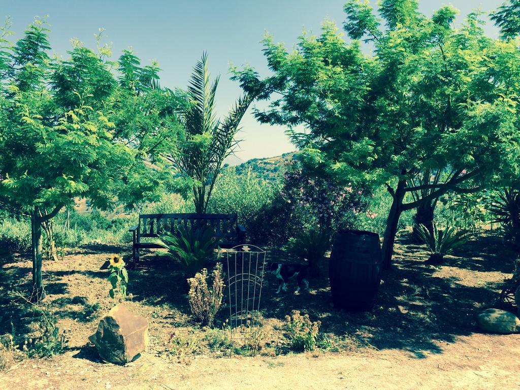 Villa Della Mimosa Alia Bagian luar foto