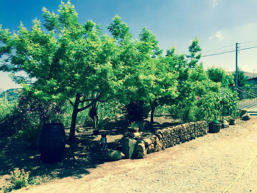 Villa Della Mimosa Alia Bagian luar foto