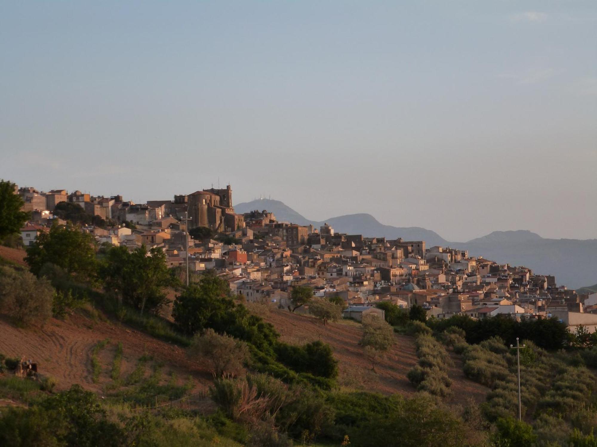 Villa Della Mimosa Alia Bagian luar foto