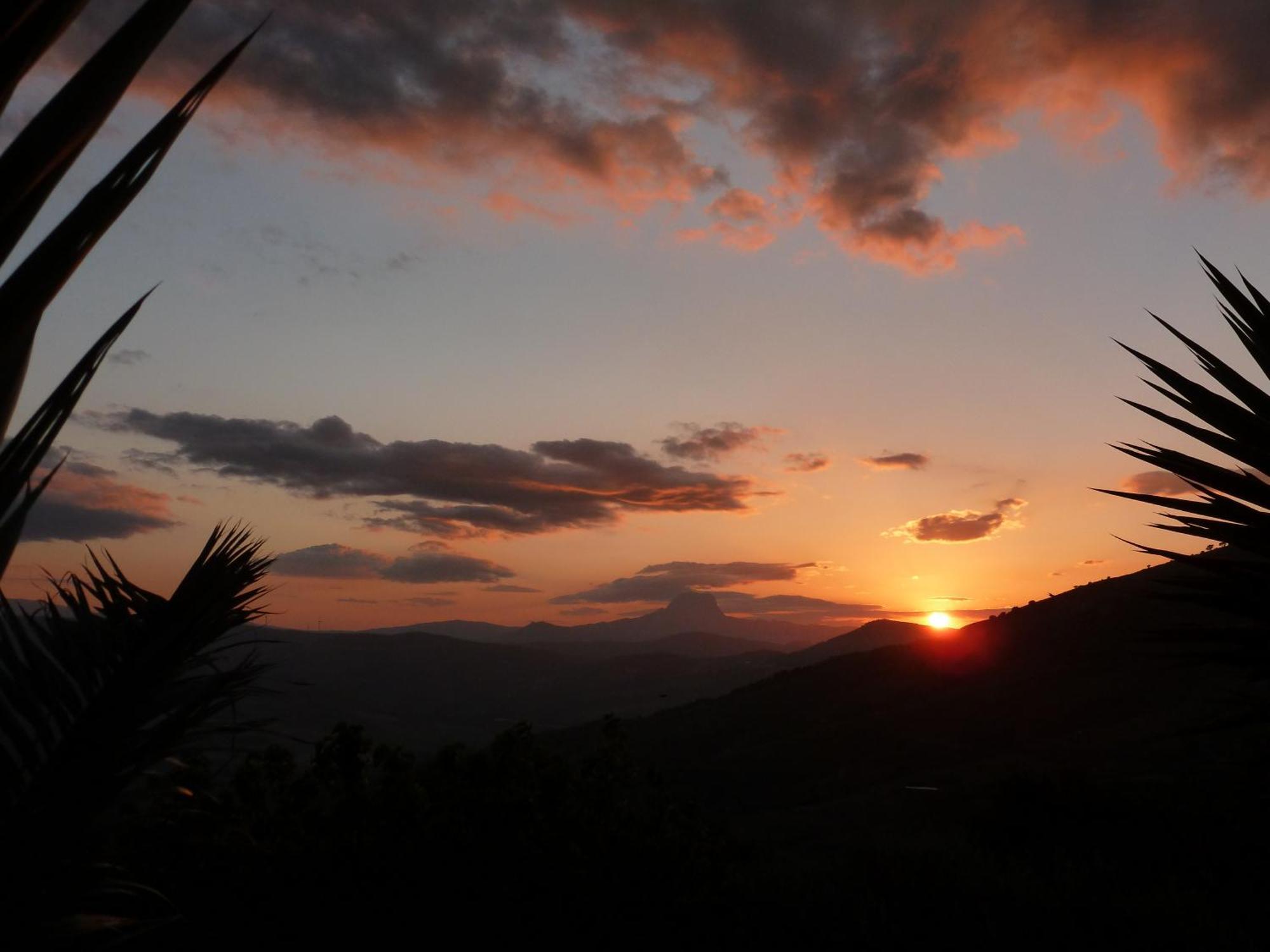 Villa Della Mimosa Alia Bagian luar foto
