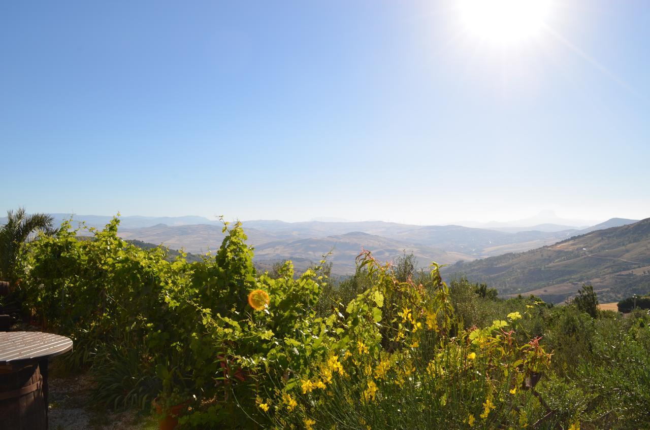 Villa Della Mimosa Alia Bagian luar foto