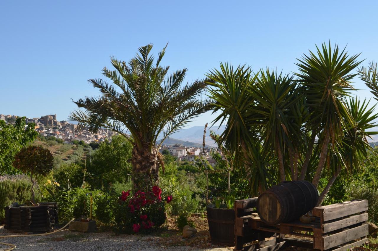 Villa Della Mimosa Alia Bagian luar foto